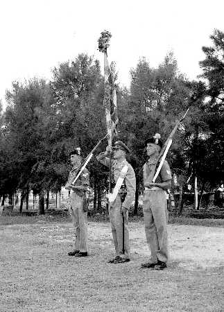 Images/1 LF colour Troop 1951305.jpg